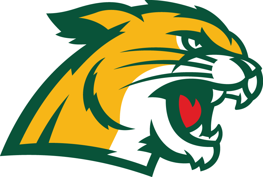 Northern Michigan Wildcats 2016-Pres Secondary Logo diy iron on heat transfer